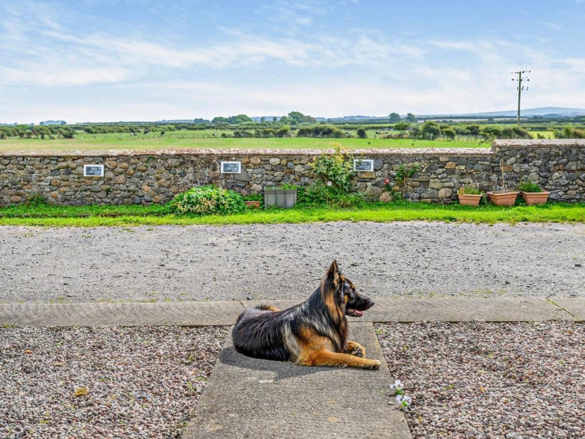 North Lodge Retreat Allonby Maryport Dış mekan fotoğraf